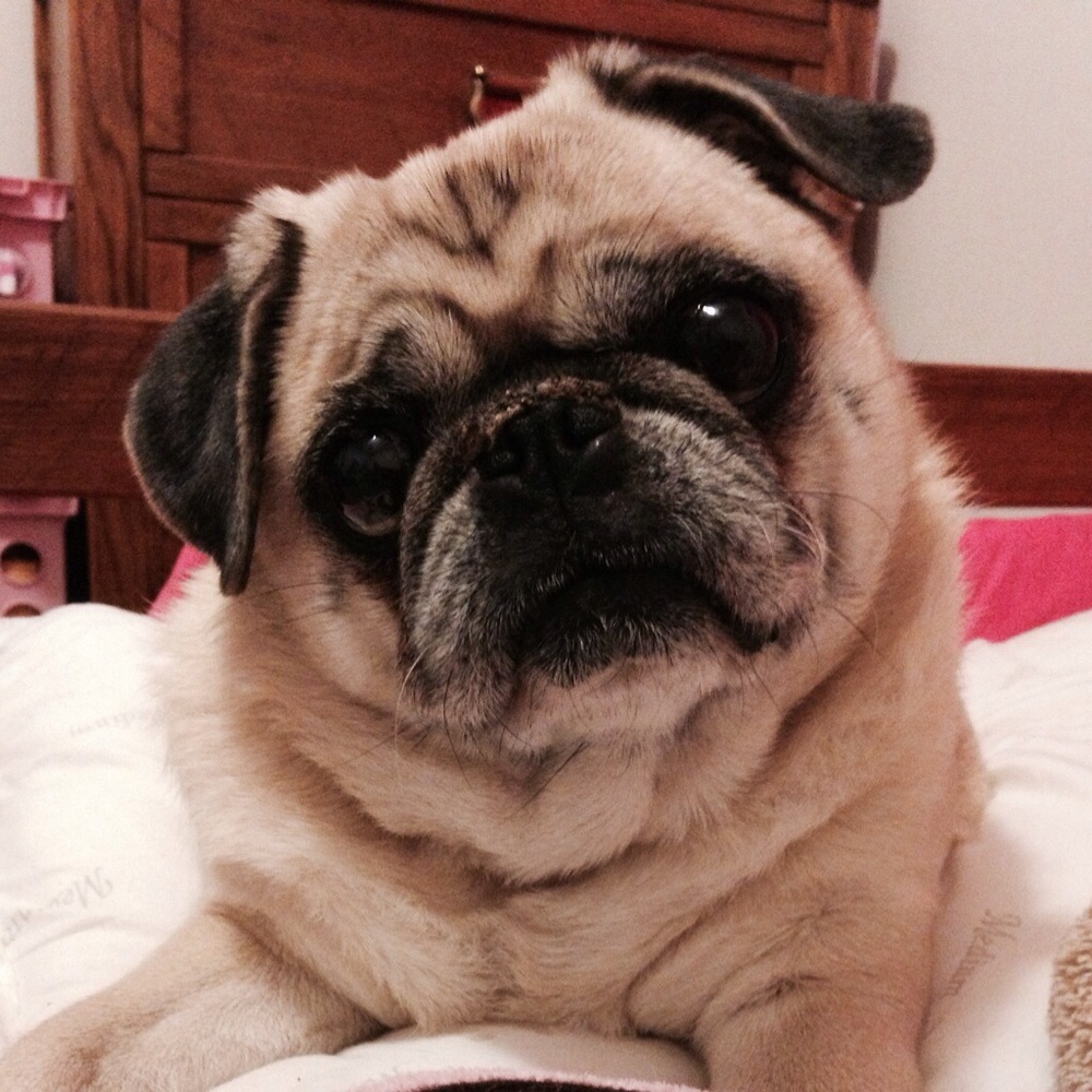 Meet your Posher, Jill